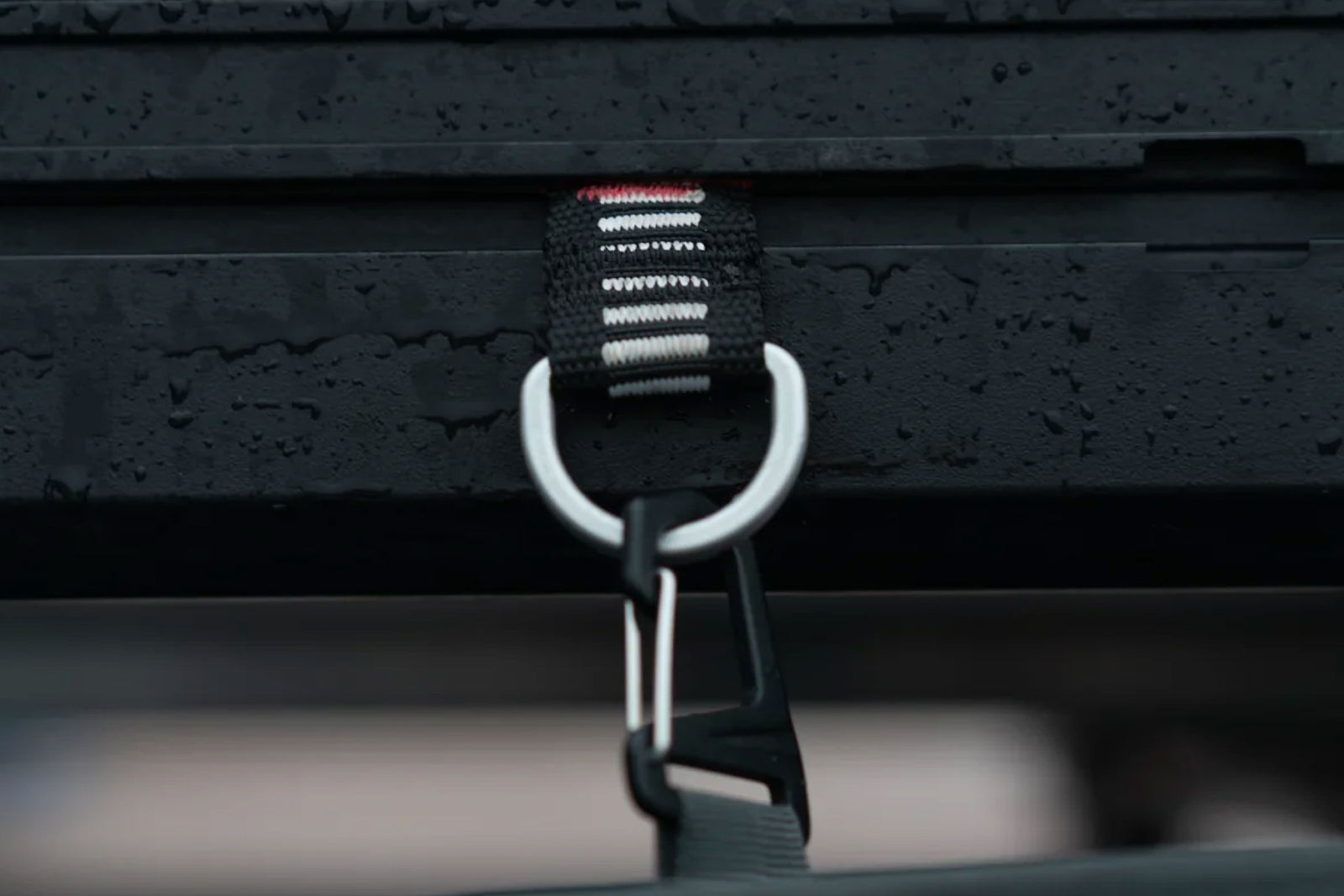 Boucles d'attache rapide - Intrepid