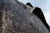Tente de toit 2 places GEO 2.5 Pro - Intrepid