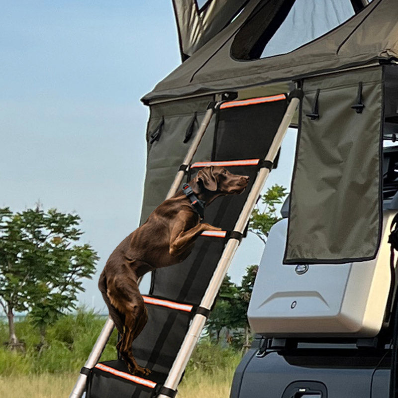 Revêtement d&#39;échelle