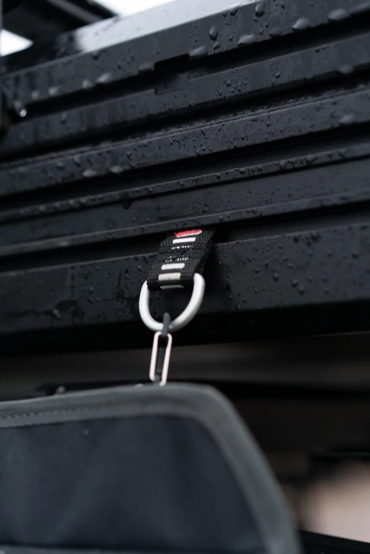 Boucles d'attache rapide - Intrepid